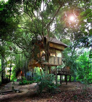Hotel Rabeang Pasak Treehouse 2*