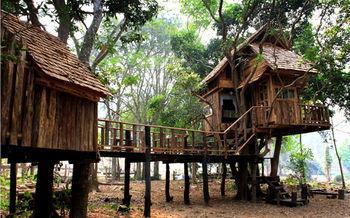 Rabeang Pasak Treehouse Chiang Mai