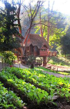 Rabeang Pasak Treehouse