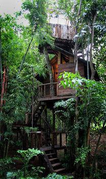 Hotel Rabeang Pasak Treehouse