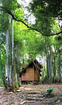 Rabeang Pasak Treehouse Chiang Mai