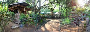 Hotel Rabeang Pasak Treehouse
