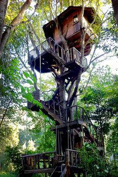 Rabeang Pasak Treehouse
