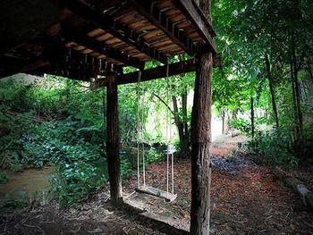 Rabeang Pasak Treehouse