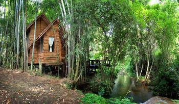 Rabeang Pasak Treehouse Chiang Mai