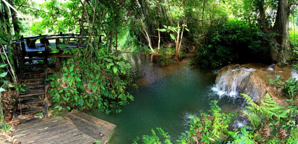 Rabeang Pasak Treehouse Chiang Mai