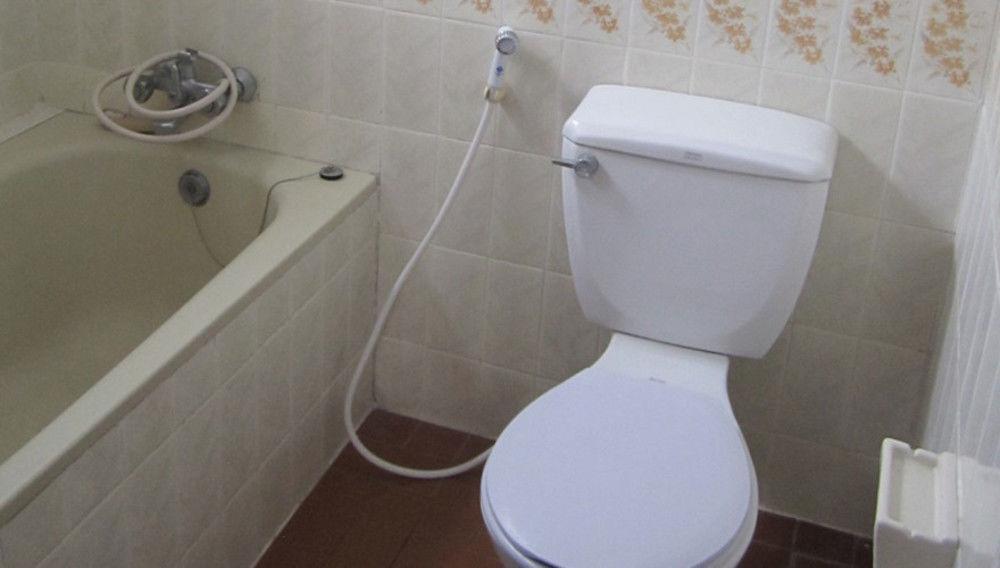 Guest house Dutch 3*