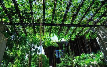 Baan Hanibah Guest house