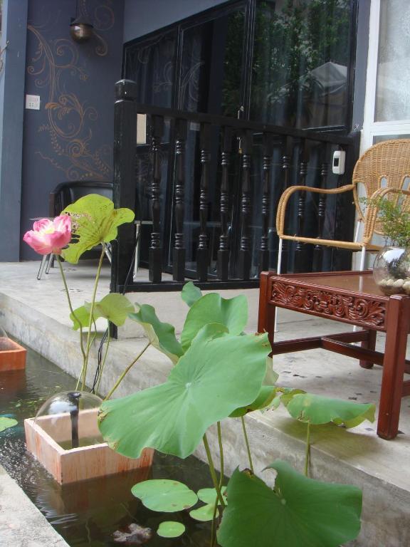 Indie House @ Nimman *