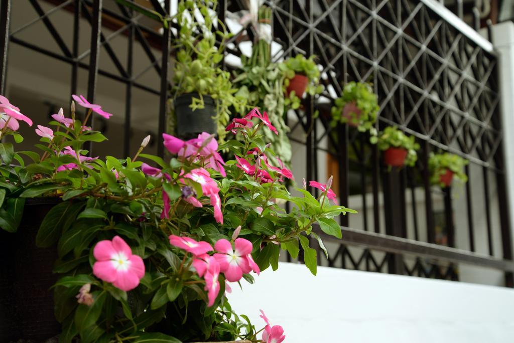 Gasthuis Sindyguesthouse *
