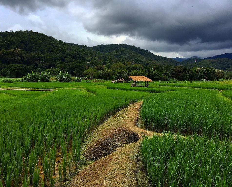 Bulunburi 3* Chiang Mai