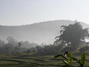 Lisu Rumah tetamu