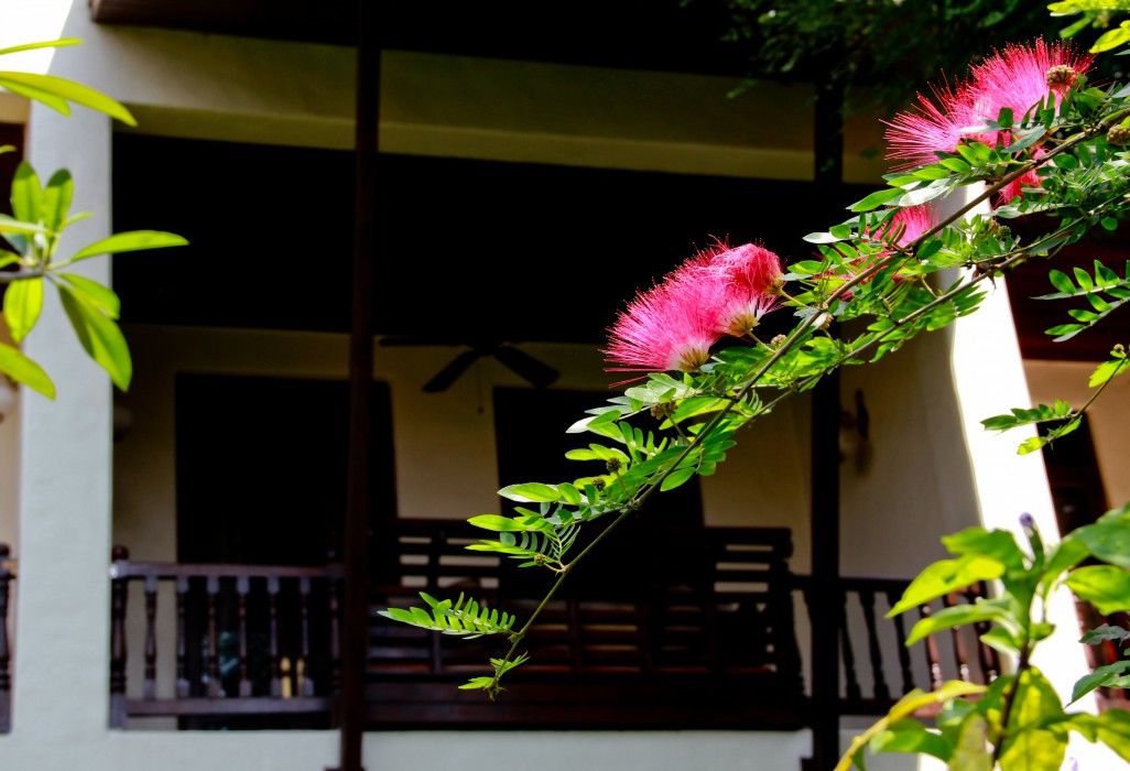 Puripunn Hideaway 4* Chiang Mai