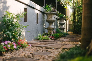 Cozy Inn Chiang Mai