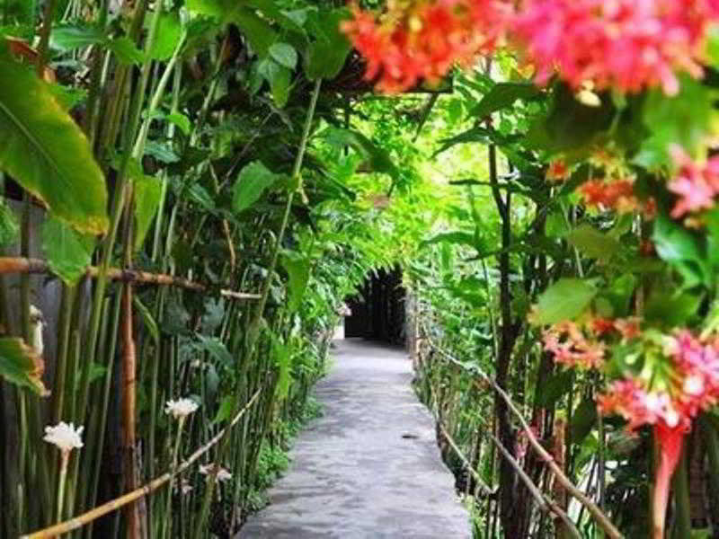 Hotel Shewe Wana Chiang Mai