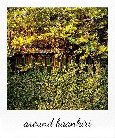 Baankiri Guest house