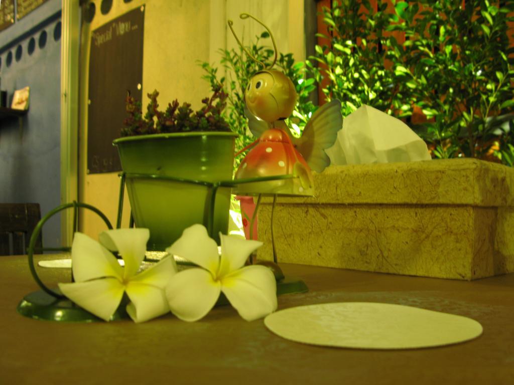 Guest house Cshouse Chiang Mai