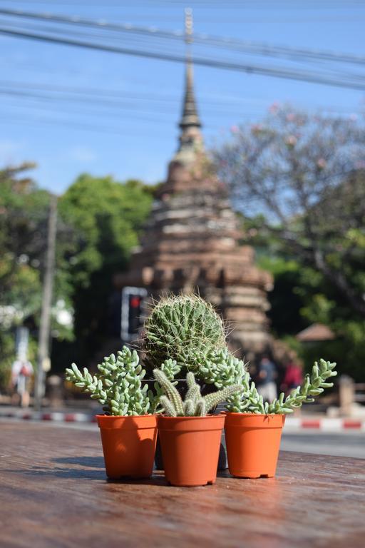 Bed & Breakfast Soon, Chiang Mai