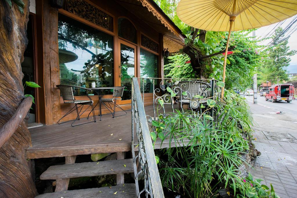 Mountain View Guesthousechiangmai Gasthuis Chiang Mai