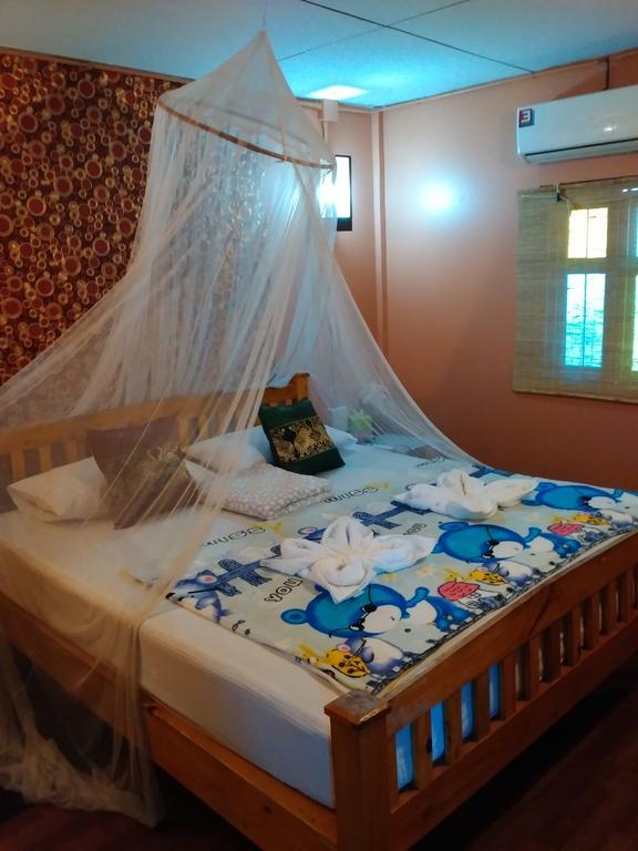 Hostel Green House Backpacker *