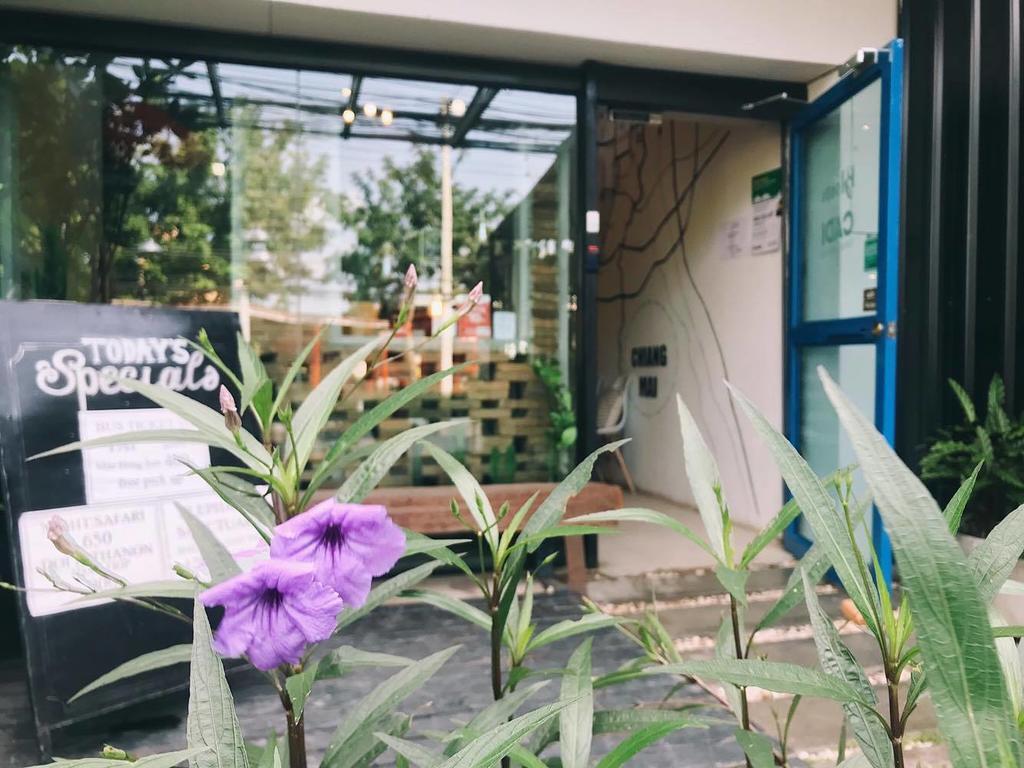 Albergue Bloomz *