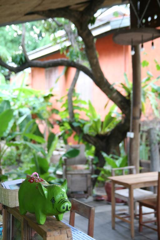 Baannoi Nornmuan Retreat Vacation & Workshop Homestay Chiang Mai
