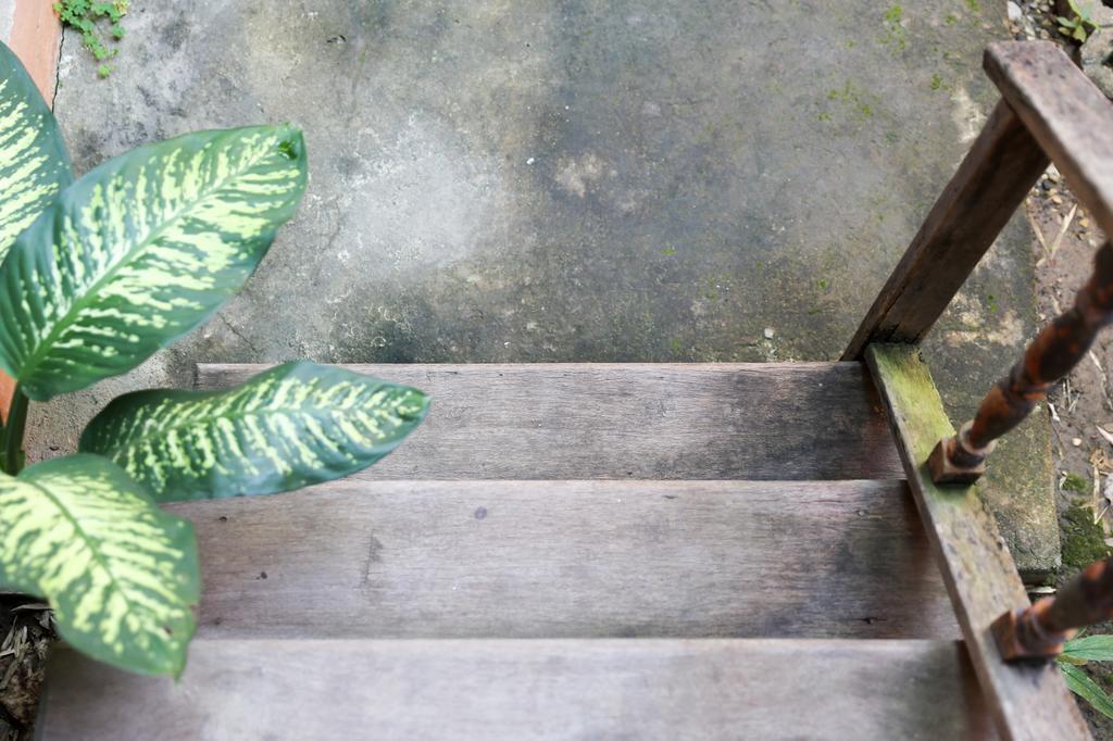 Baannoi Nornmuan Retreat Vacation & Workshop Homestay Chiang Mai