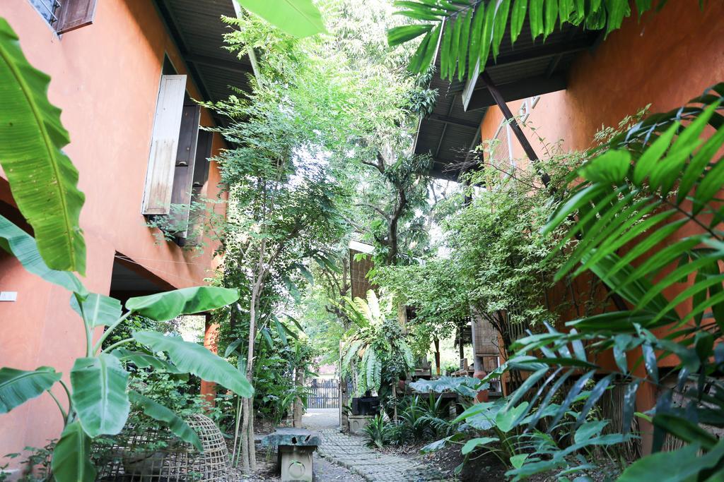 Baannoi Nornmuan Retreat Vacation & Workshop Homestay *