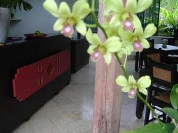Hotel Gudi Boutique Chiang Mai