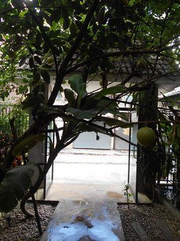 Hotel G2 Boutique Chiang Mai