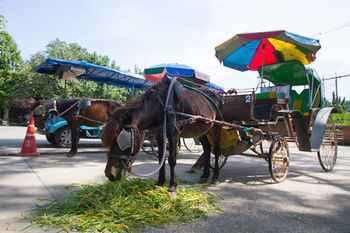 E Chiang Mai