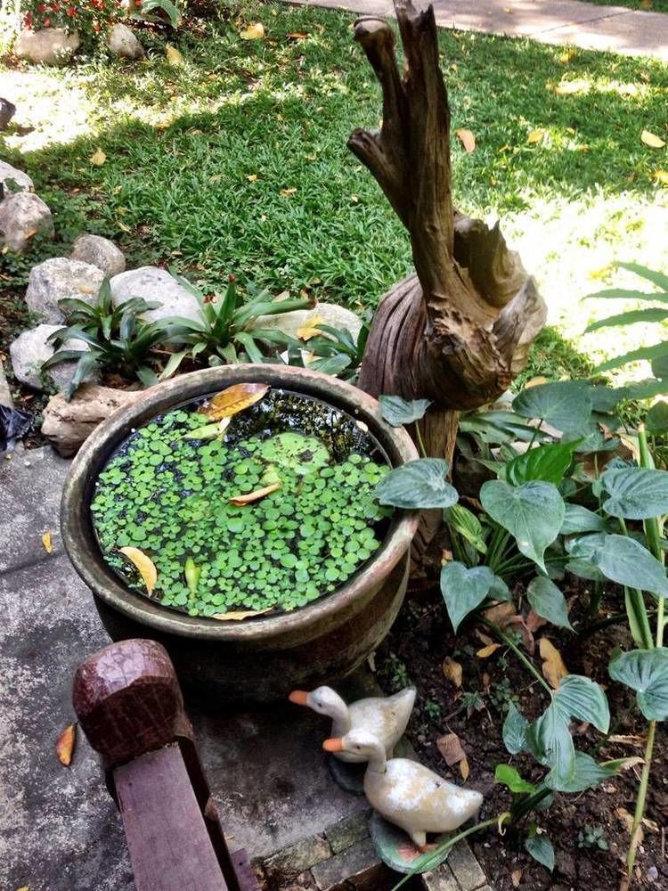 Santitham Guest house Chiang Mai
