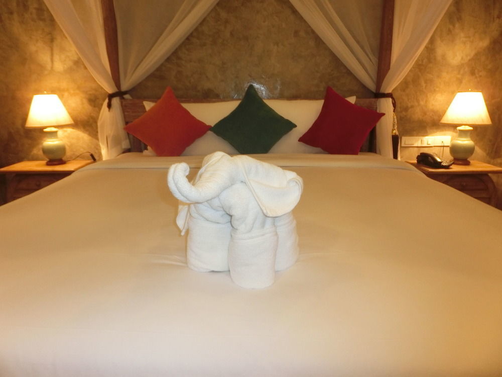 The Chaya And Chiang Mai