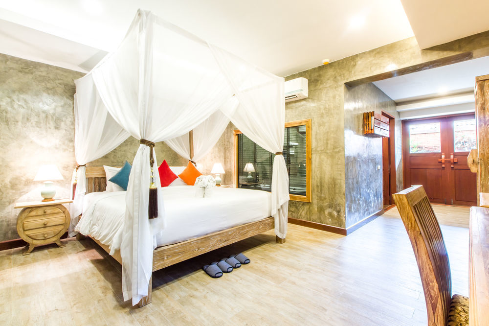 The Chaya And Chiang Mai