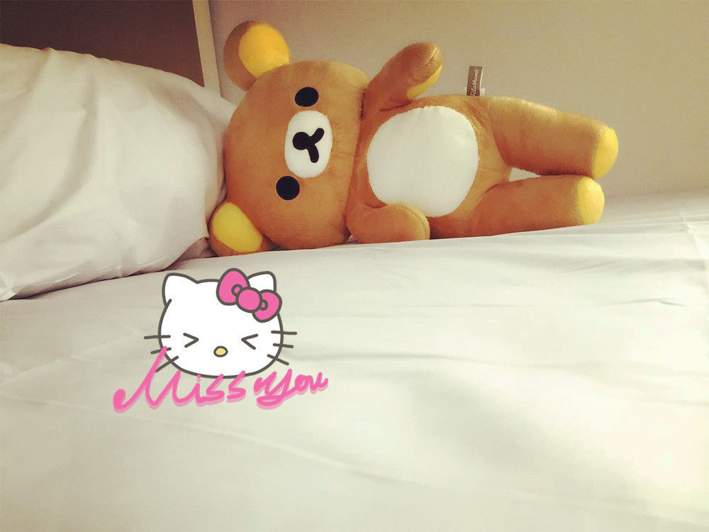 Sleep Box Cnx