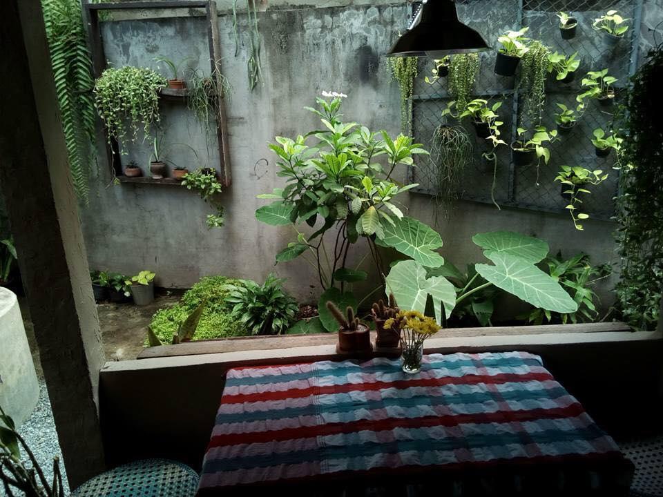 Twin House @ Tapae Chiang Mai