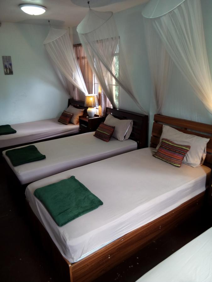 Twin House @ Tapae Chiang Mai