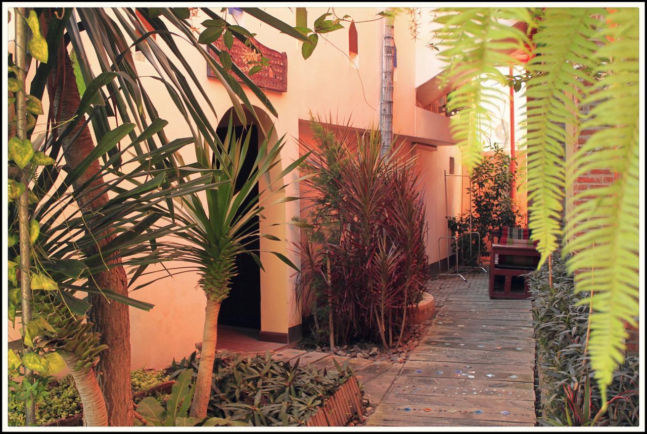 Natlenxi Vacation Guest house