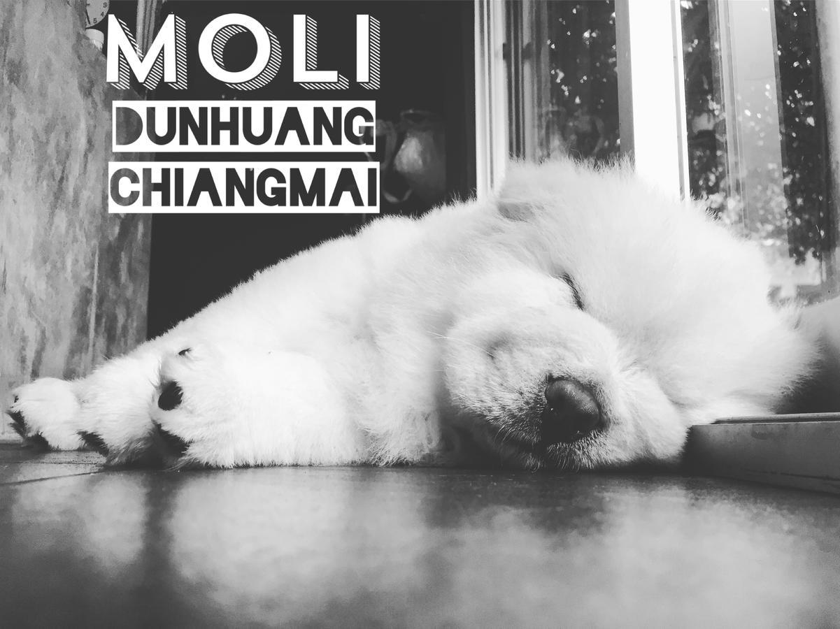 Asrama Chiangmai Moli (adults Only) Chiang Mai
