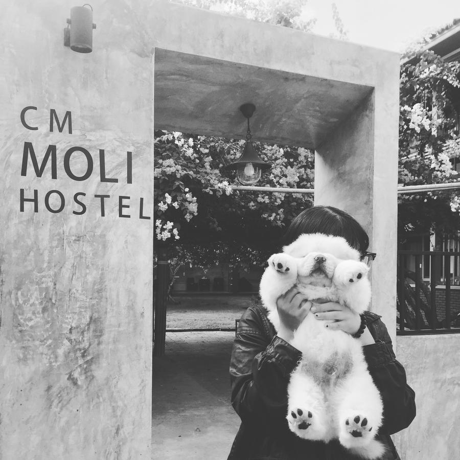 Chiangmai Moli (adults Only) Chiang Mai