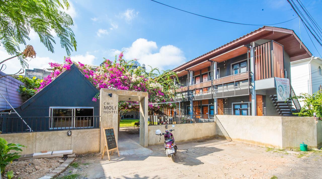 Chiangmai Moli (adults Only) Asrama