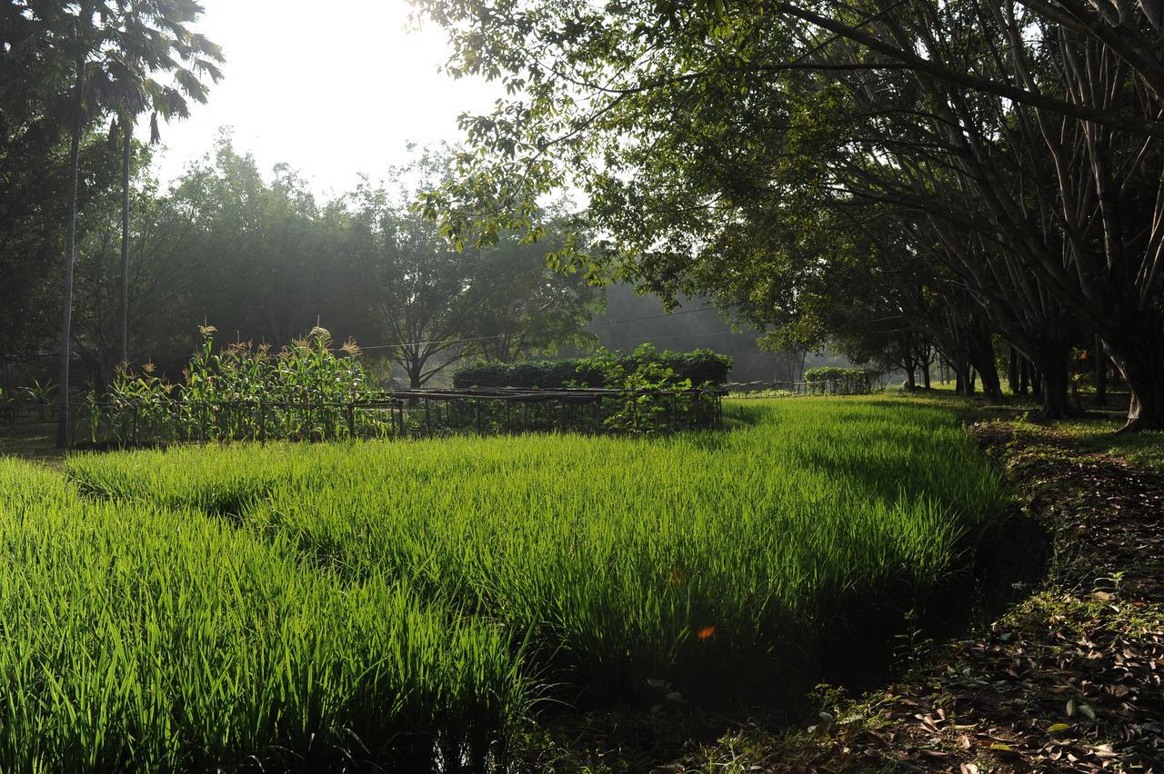 Sippa Hotspring Inn 2*