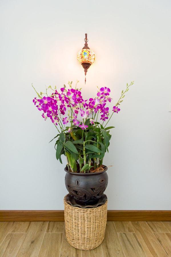 Thai Orchid (adults Only) Chiang Mai