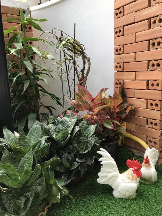 Thai Orchid (adults Only) Chiang Mai