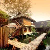 Hotel Butterfly