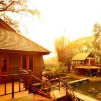 Butterfly Hotel Chiang Mai