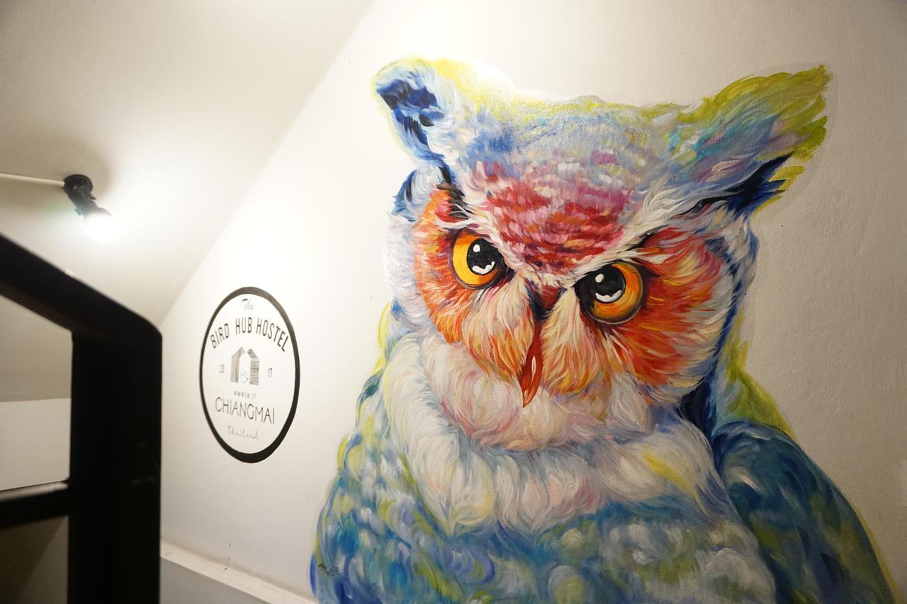 The Bird Hub Hostel