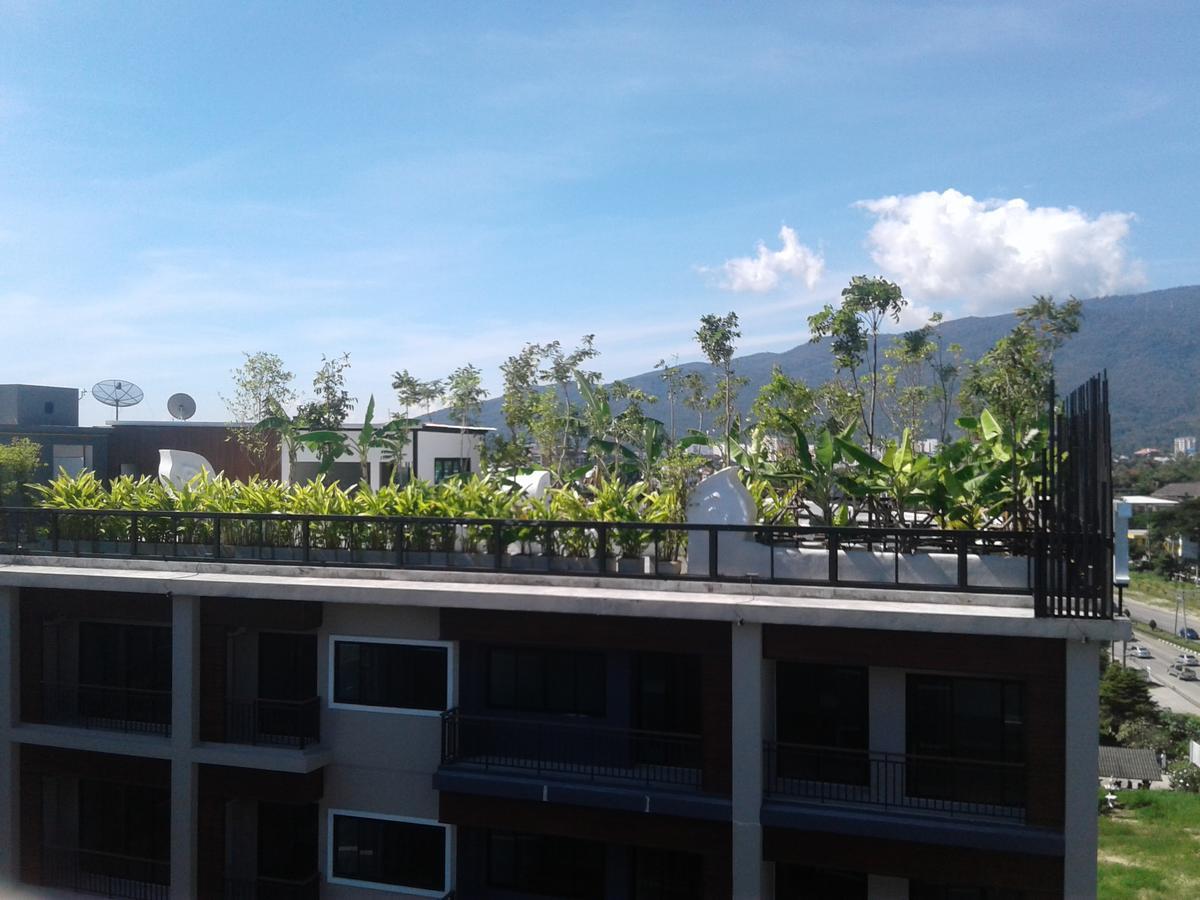 Icheck Trams Square 4* Chiang Mai