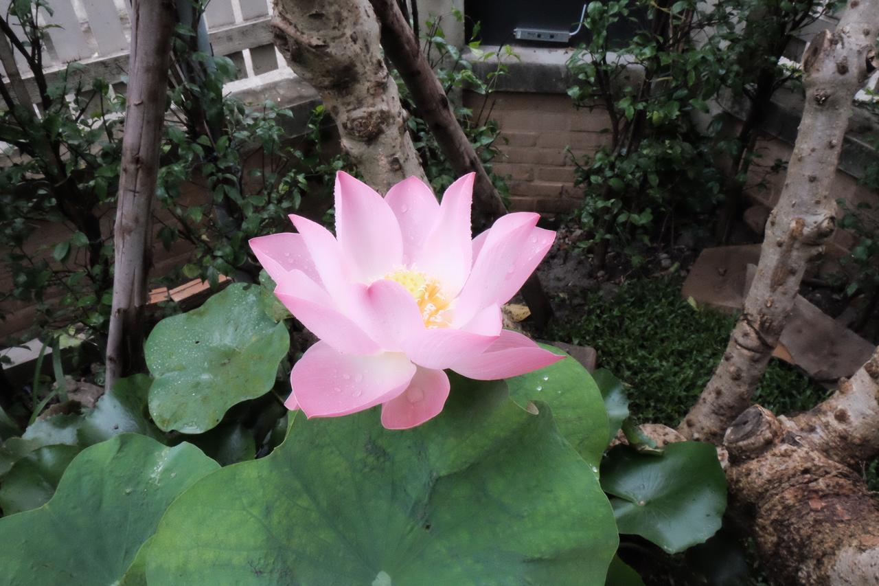 18 In Town Bed & Breakfast Chiang Mai