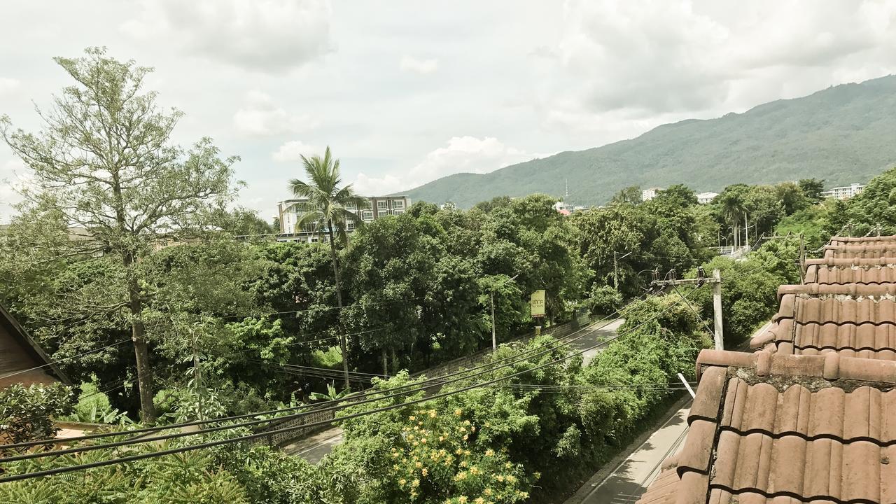 The Doze Chiang Mai